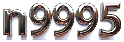 pkn9995.com Logo